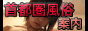 �����f���w���K�C�h