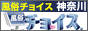 �_�ސ앗���`���C�X